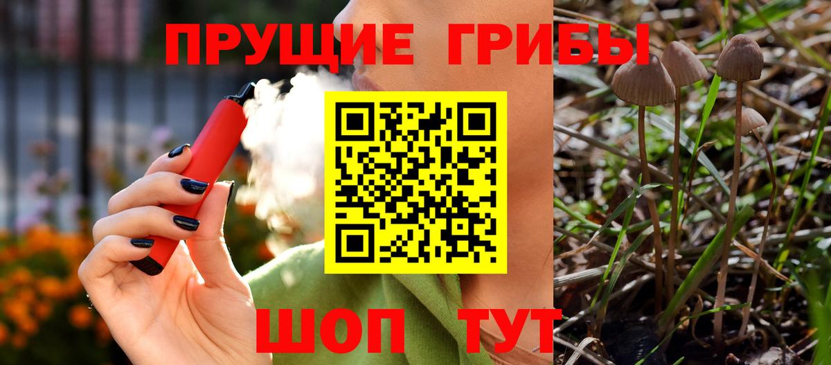 Галлюциногенные грибы Cubensis  Вход с VPN  Черкесск  Галлюциногенные грибы MAGIC MUSHROOMS 
